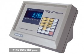 耀华XK3190—D2+仪表